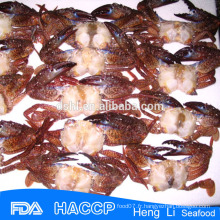 HL003 Rich food en gros gros crabes